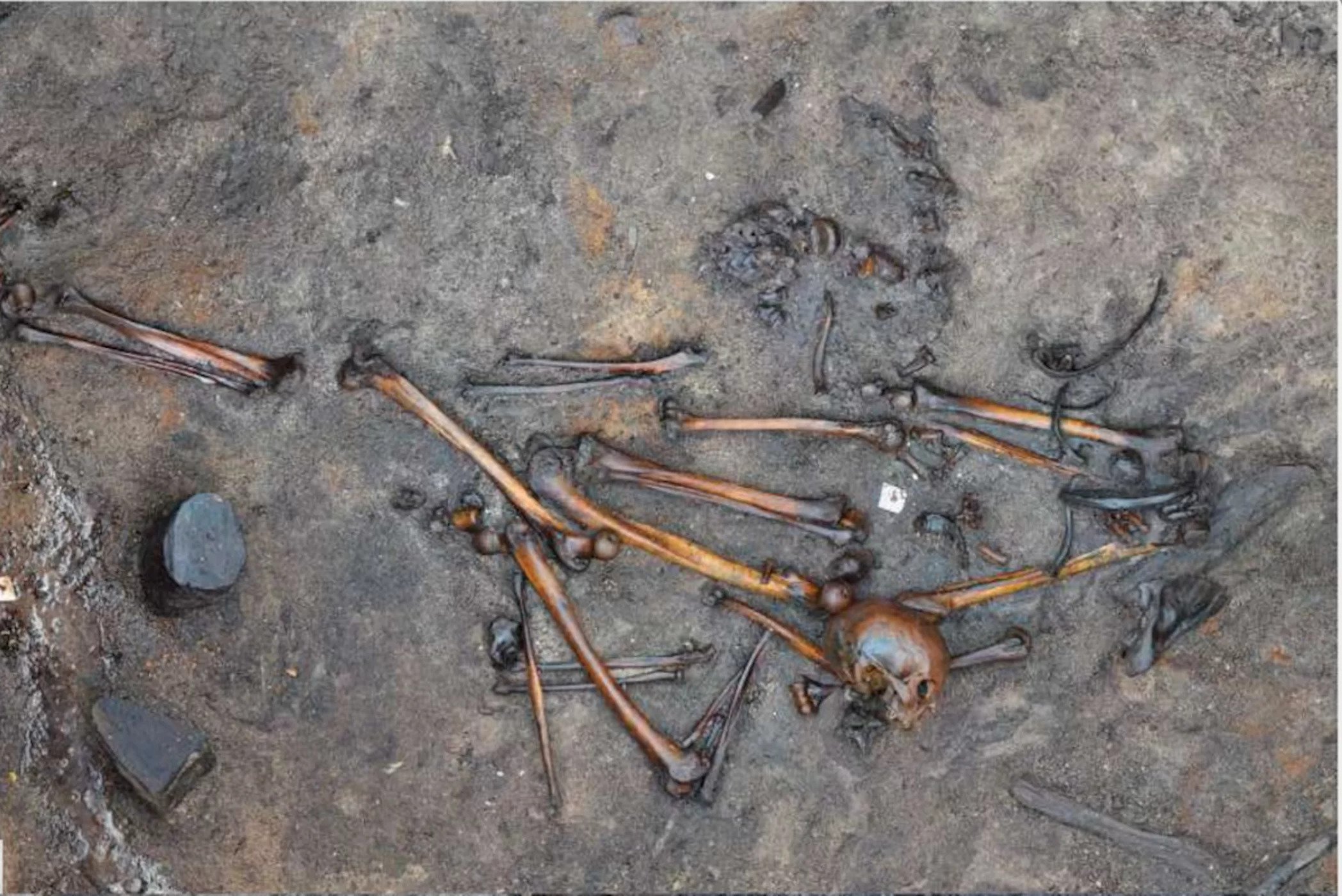 Denmark barbarian battle: Archaeologists Just Discovered the Mangled Remains
