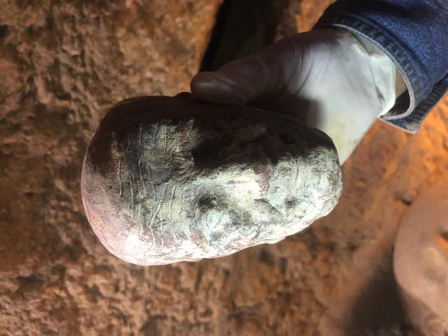 The wax head of the high priest