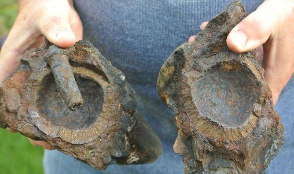 The two hand grenades.