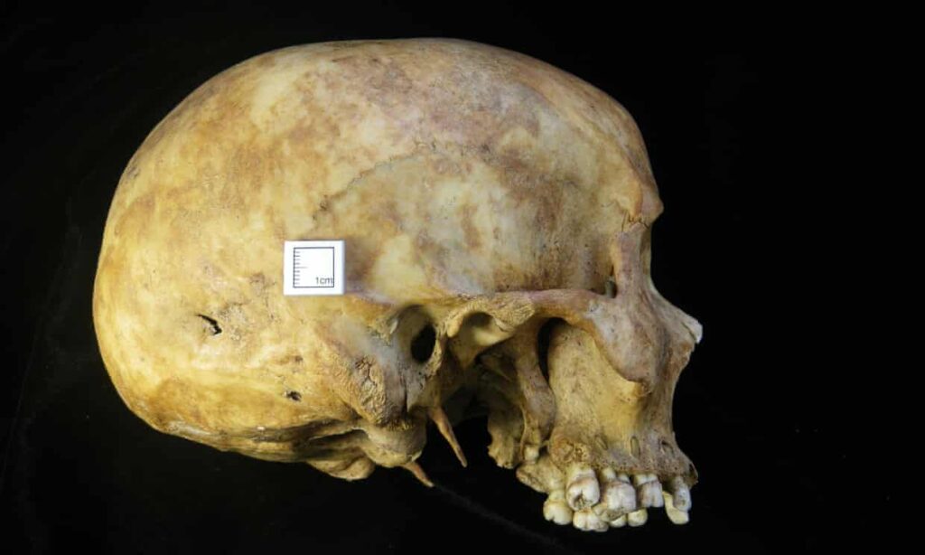 The skull of a female who died as a result of a stab wound to the head. Photograph: Wessex Archaeology