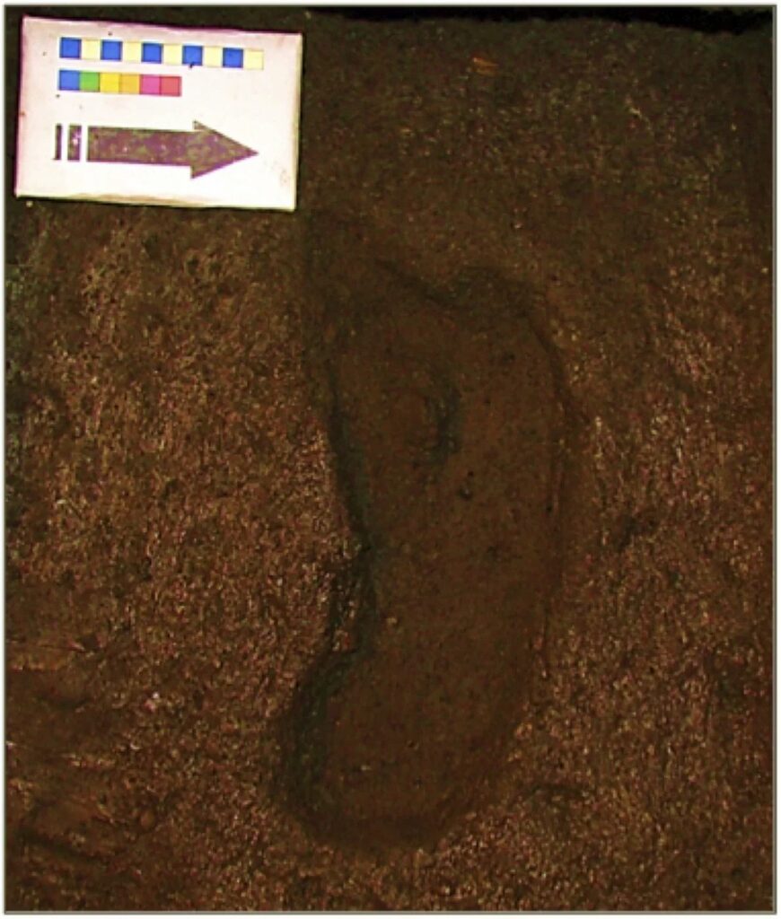 Earliest Ever Human Footprint in the Americas Discovered, Dating Back 15,600 Years