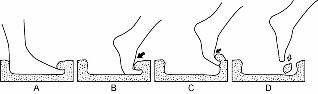 This sequence shows how the footprint may have been made.