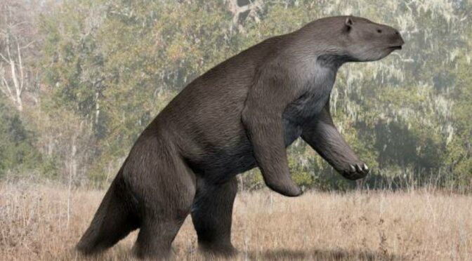 Meet The Megatherium: The Adorable 13-Foot Sloth That Ruled The Prehistoric Amazon