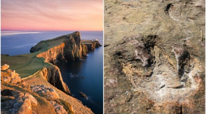 Huge Dinosaur Footprints Discovered on Scottish Coast