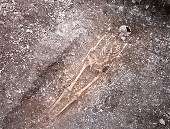 Skeleton of man who had his throat slit by Anglo Saxon executioners 1,000 years ago is uncovered during excavations for a new wind farm.