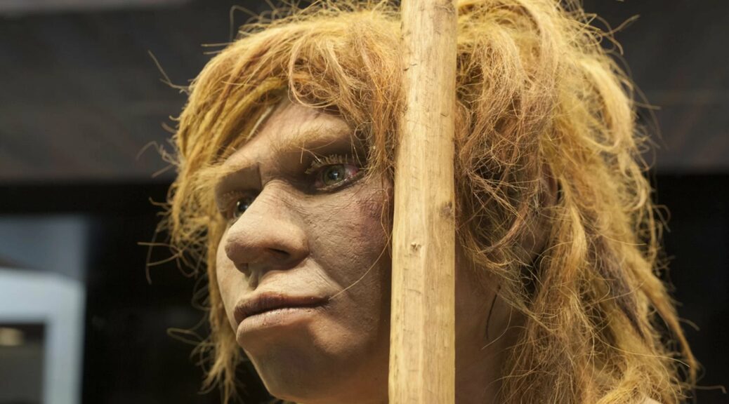 Was Fertility a Factor in the Demise of Neanderthals?