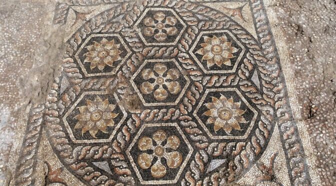 “Overall, the design of the mosaic, additionally equipped with a transversal field in front decorated with astragals and rosettes, is typical for the triclinia – the most imposing of the dining rooms in a Roman house,” said Majcherek.