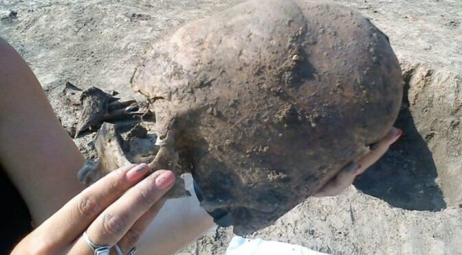 Ancient Alien-Like Heads Discovered in Croatia