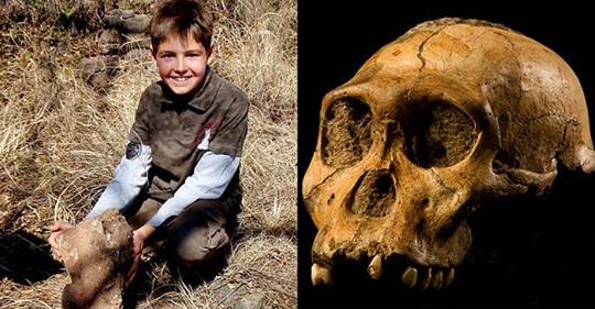 9-Year-Old Kid Literally Stumbled on Stunning Fossils of a New Hominid