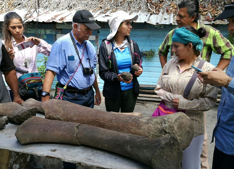 Ancient Whale bones found in Burica peninsula of Panama