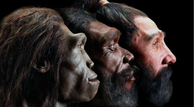 How white skin evolved in Europeans: Pale complexions only spread in the region 8,000 years ago, study claims
