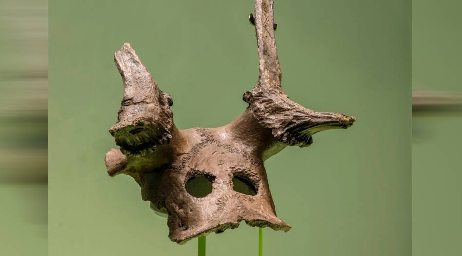 11,000-year-old Spiritualized Deer Masks Whisper Tales Of A Forgotten World