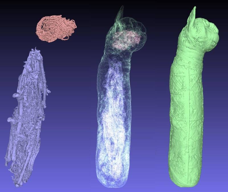 Archaeologists Discover Remains Of Three Different Cats Inside Ancient Egyptian Mummy