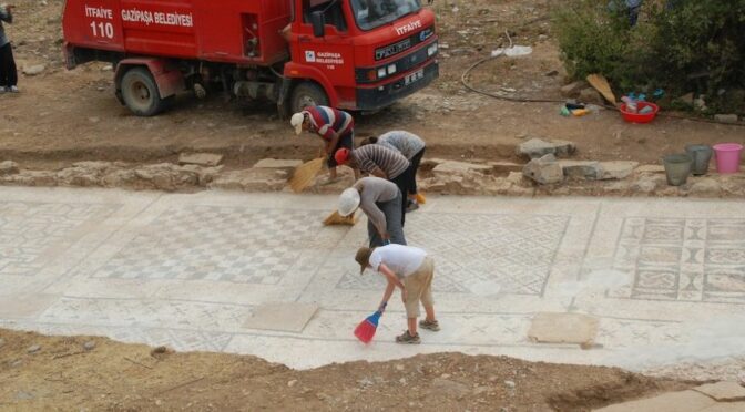 Gigantic Roman mosaic discovered under a farmer's field in Turkey