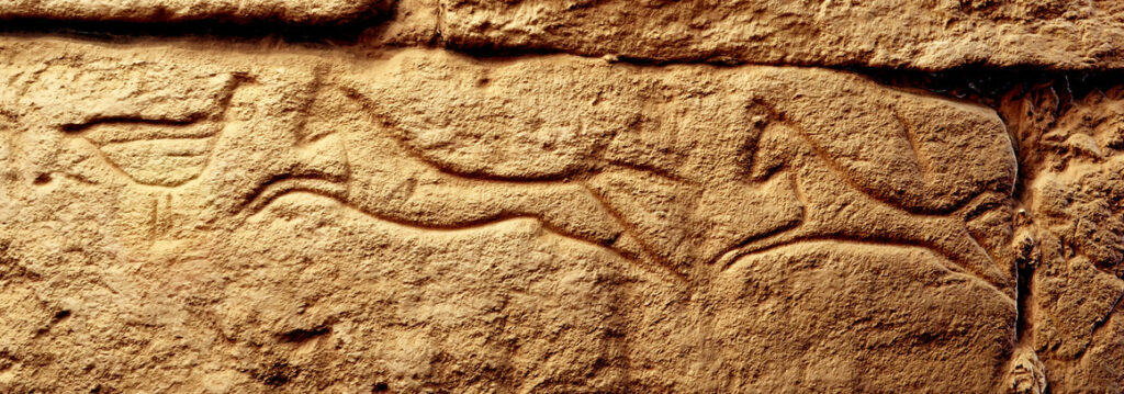 A graffito of a chicken facing two leaping horses in the temple of El-Kurru.