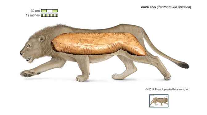 45,000-year-old Cave Lion Figurine Uncovered At Denisova Cave