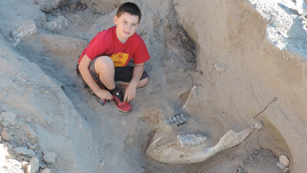 Boy Found Million-Year-Old Fossil by Tripping Over It