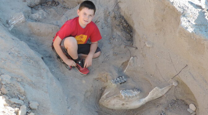 Boy Found Million-Year-Old Fossil by Tripping Over It
