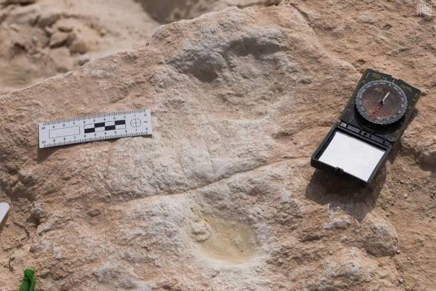 Human footprints dated to roughly 85,000 years ago revealed in Saudi Arabia