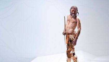 Scientists Examine Iceman’s Neolithic Hunting Kit