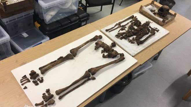 Possible 18th-Century Sailor’s Skeleton Unearthed near buried porpoise in Guernsey