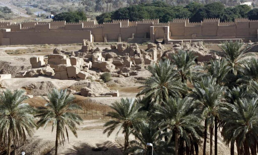 Extinct date palms grown from 2000-year-old seeds found near Jerusalem