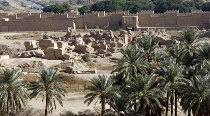 Extinct date palms grown from 2000-year-old seeds found near Jerusalem