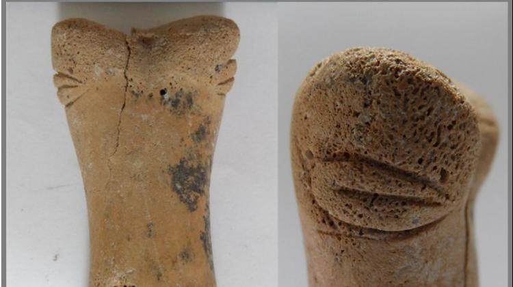 Anthropomorphic figurine discovered by a Polish researcher