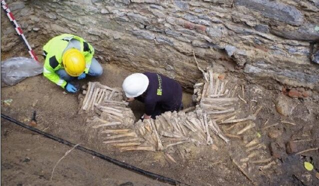 Walls made of human bones discovered under Ghent cathedral