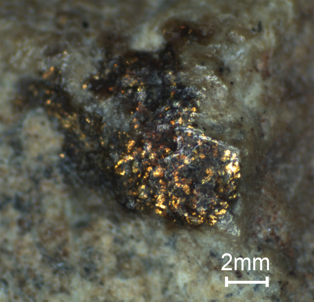 Evidence of traces of gold under the microscope