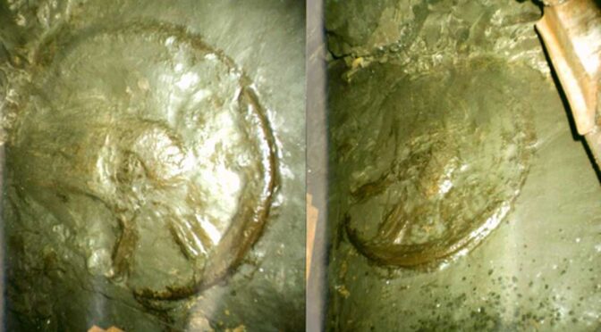 300 Million Year Old Enigmatic Ancient Wheel Found Deep In Mine?