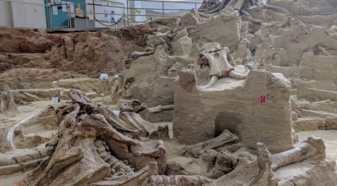 Inside the excavation of a South Dakota sinkhole that swallowed more than 60 mammoths