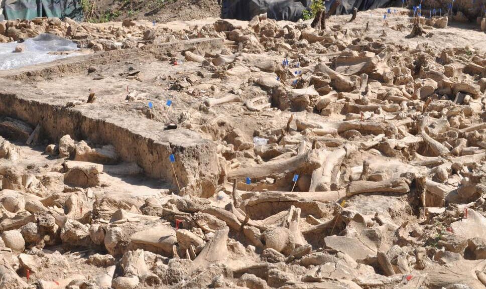 A Mysterious 25,000-Year-Old Structure Built of the Bones of 60 Mammoths