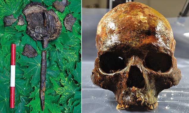 Human Skulls Mounted on Stakes Found at 8,000-Year-Old Burial Archaeological Site in Sweden