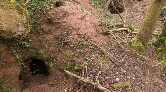 Rabbit hole leads to incredible 700-year-old Knights Templar cave complex