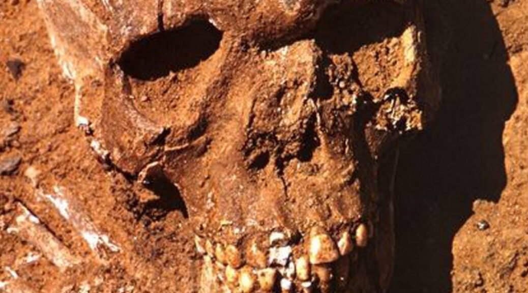 Skeletons of war dead from 11,000 BC go on show at the British Museum