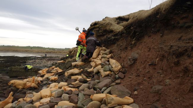 Scottish storms unearth 1,500-year-old Viking-era cemetery Scottish Islands were once inhabited by native Picts people only, a Celtic-language speaking group, similar to the natives that live on what is now Scotland.  Some powerful storms on the Orkney Islands in Scotland have now unearthed ancient human bones in a Pictish and Viking cemetery dated back to about 1,500 years ago. Volunteers are now placing sandbags and clay around, in order to protect the damage to the ancient Newark Bay cemetery on Orkney’s largest island. The site is dating back to the middle of the sixth century when the Orkney Islands were occupied by native Pictish people. Picts or Norse? The cemetery was used for about 1,000 years, and numerous burials from the ninth to the 15th century were Norsemen or Vikings who had seized the Orkney Islands from the Picts. Now, storm waves are destroying the low cliff where the ancient site is located, Peter Higgins from the Orkney Research Center for Archaeology (ORCA), said. “Every time we have a storm with a bit of a south-easterly [wind], it really gets in there and actively erodes what is just soft sandstone,” Higgins explained. Approximately 250 skeletons were taken out of the cemetery about 50 years ago, but researchers do not know how far the site extends from the beach. They believe that hundreds of Pictish and Norse bodies are still buried there. “The local residents and the landowner have been quite concerned about what’s left of the cemetery being eroded by the sea,” Higgins said. Uncovered bones are usually either coated with clay to protect them or removed from the site after their positions are thoroughly labeled, so it is rather unusual for bones to end up on the beach, he explained. Researchers do not know yet of the exposed bones belong to Picts or Vikings, as no burial objects or funeral clothes were spotted, and the bodies were buried four of five layers under the surface. Cultural Transition Historians claim that the first Norse immigrants to the Orkney Islands established there in the late eighth century, leaving a rising new monarchy in Norway. They used the Orkney Islands to begin their own voyages and Viking raids, and ultimately, all the islands were ruled by the Norse, according to The Scotsman. The relationship between the Picts and the Norse on the Orkney Islands is highly argued by scholars. They cannot know for sure whether the Norse took over by force, or were settlers who traded and entered marriage with the Picts. However, now, the ancient cemetery at Newark Bay may help researchers answer their questions. “The Orkney Islands were Pictish, and then they became Norse,” Higgins said. “We’re not really clear how that transition happened, whether it was an invasion, or people lived together. This is one of the few opportunities we’ve got to investigate that.” A part of the scientific work on the remains would require testing genetic material from the ancient bones, which might demonstrate that some people living on the Orkney Islands today are successors of people who lived there more than 1,000 years ago. “We’re fairly confident that we’re going to find that some local residents are related to people in the cemetery,” Higgins said.