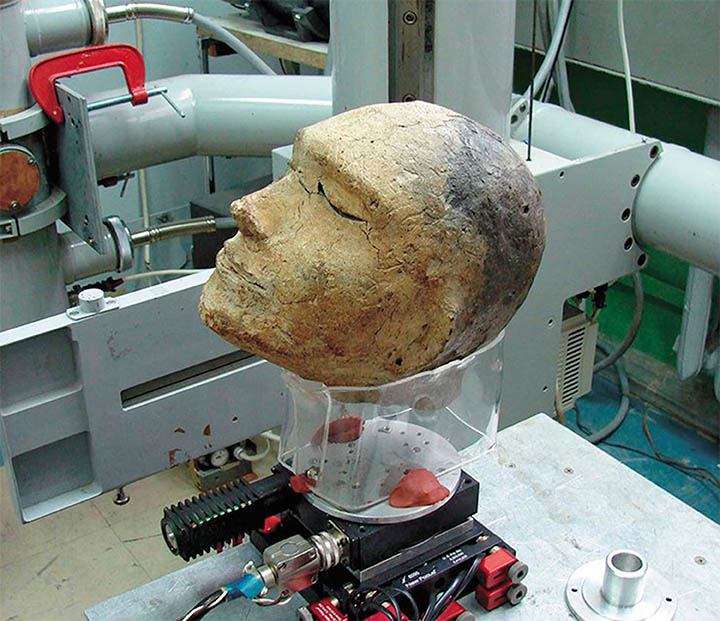 Clay head prepared for fluoroscopy at the Institute of Nuclear Physics, SB RAS.