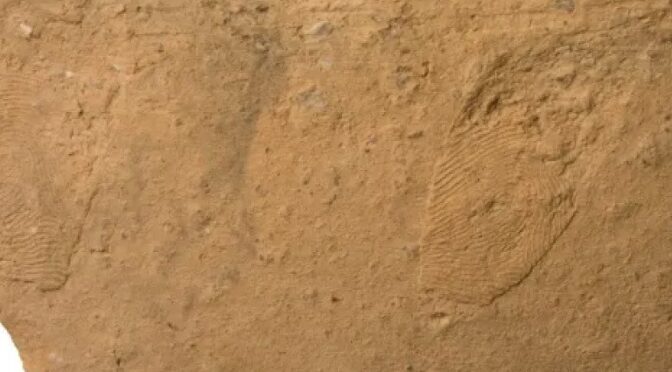 Fingerprints on Early Bronze Age Pottery Studied in Israel
