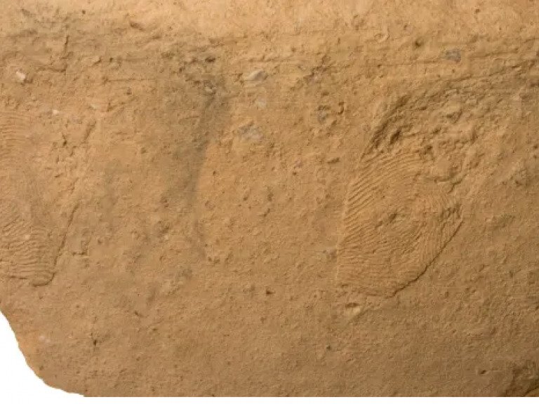 Fingerprints on Early Bronze Age Pottery Studied in Israel