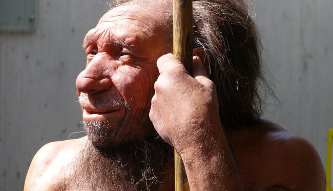 Neandertals had older mothers and younger fathers