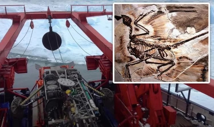 Antarctica exposed: Very unusual 90 million-year-old dinosaur discovery made after the scan