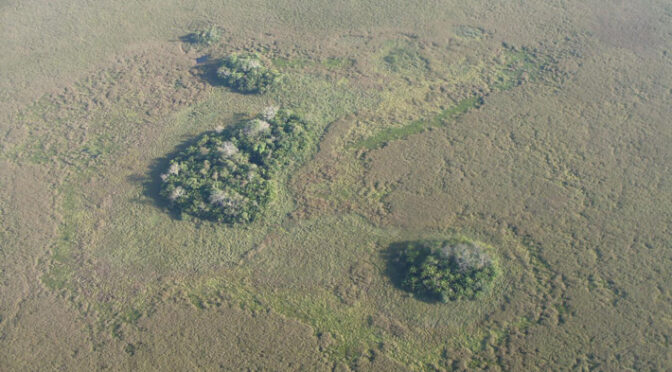 Early Agricultural Hotspot Found in Amazonia