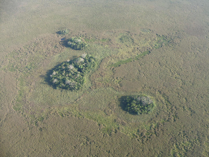 Early Agricultural Hotspot Found in Amazonia