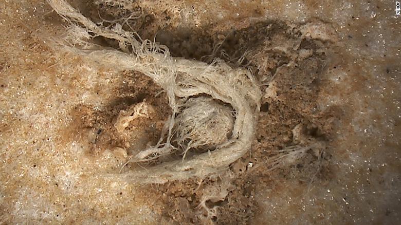 This is the oldest known string. It was made by a Neandertal