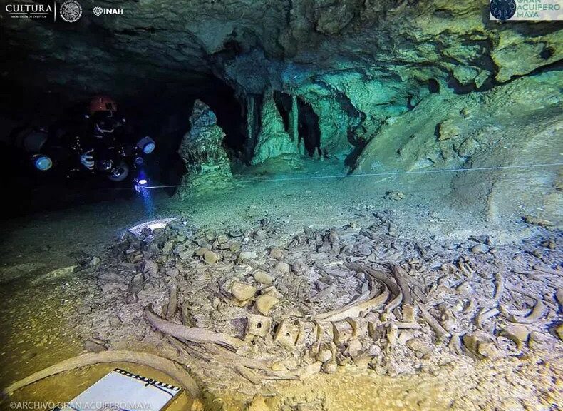 Archaeologists in Mexico Discover Treasure of Mayan Civilization and Giant Sloth Fossils in a Vast Underwater Cave