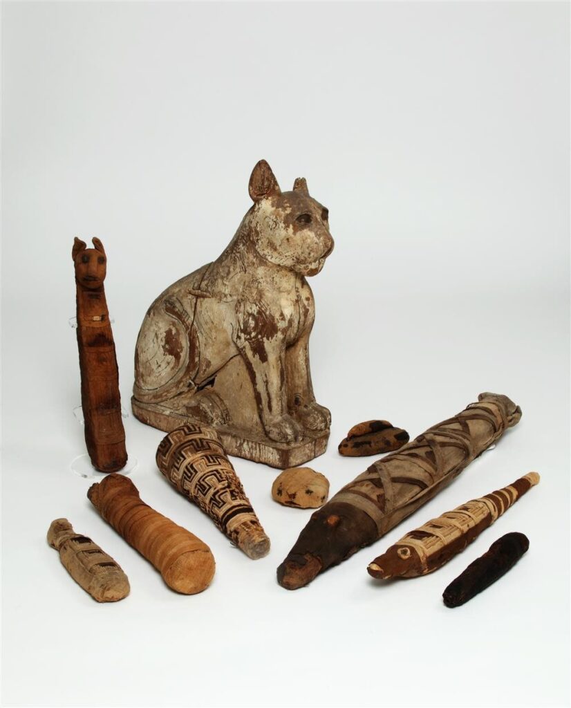 Various animal mummies from ancient Egypt.