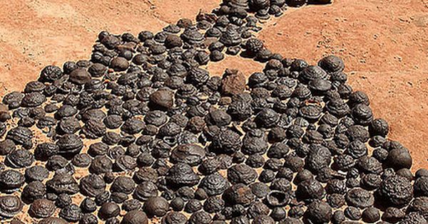 Moqui marbles naturally occurring iron oxide concretions that arise from Navajo sandstone