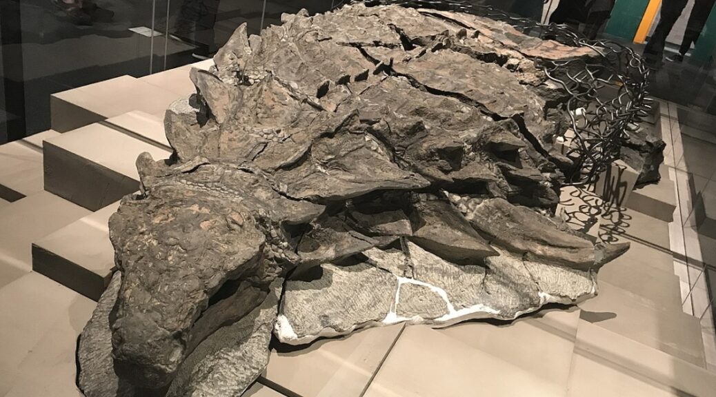 The Amazing Dinosaur Found (Accidentally) by Miners in Canada