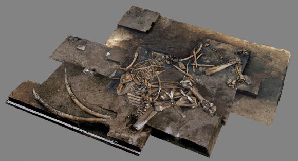Archaeologists discover almost complete 300,000-year-old elephant skeleton